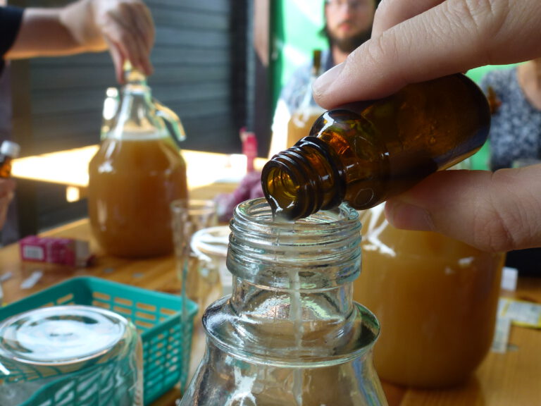 Birnen-Cider selber herstellen
