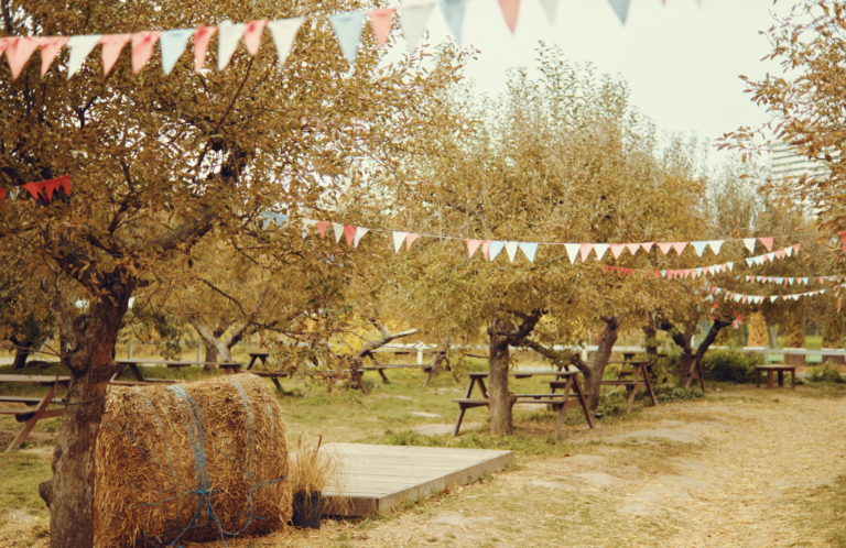 27.09.2026 Apfeltag- Döllingen