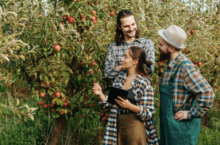 24.05.2026 Gartenplausch – Döllingen
