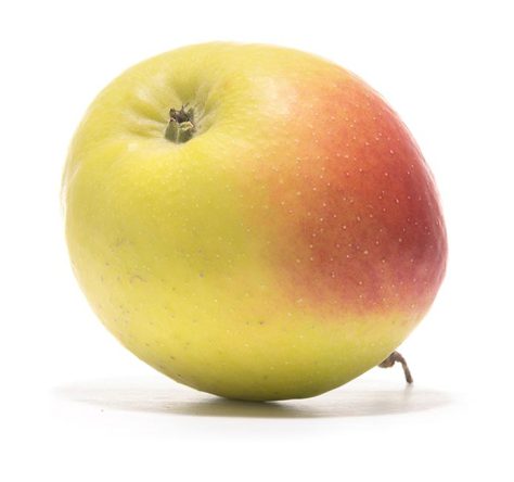 SP-Apfel-Bittenfleder-Sämling-(2)