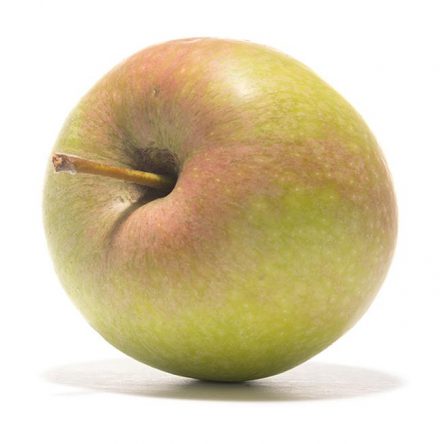 SP-Apfel-Mutterapfel-(3)