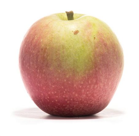 SP-Apfel-Rheinischer-Bohnapfel-(3)